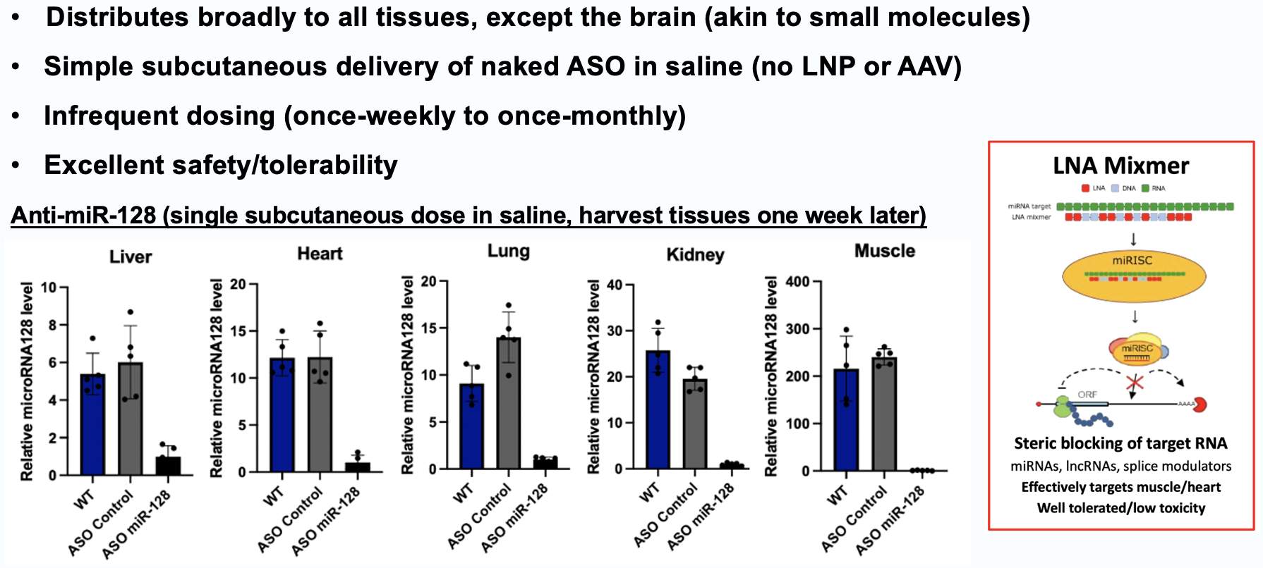 Mouse tissue distribution