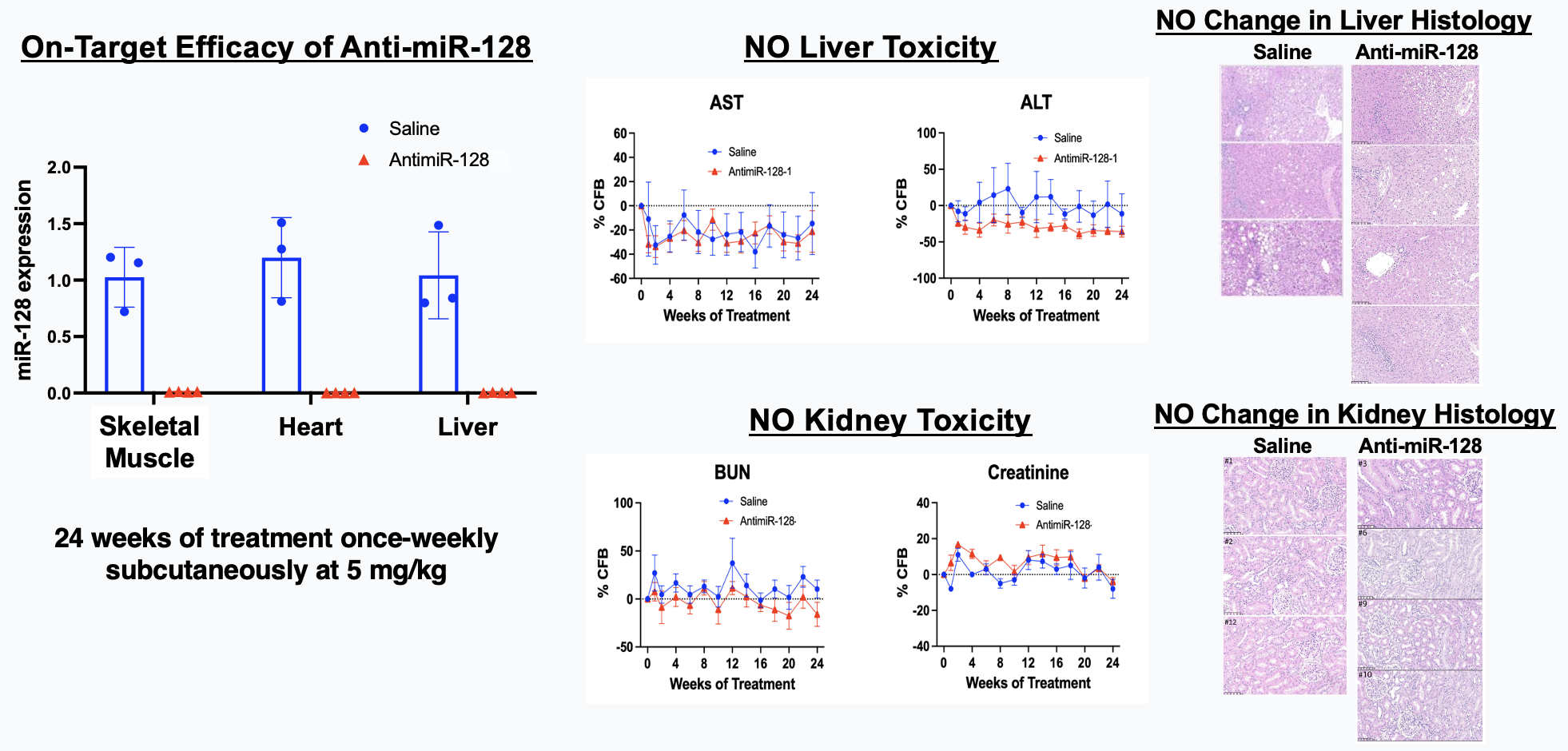 NHP 24-week safety panels